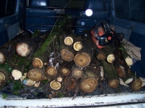 La legna e la motosega trovate a bordo dell'auto